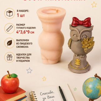 Силиконовый молд Сова школьная 4*3,6*9